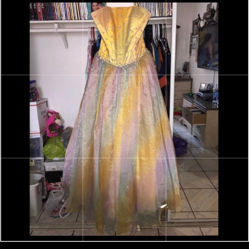 Windsor Brand Dress Size 10